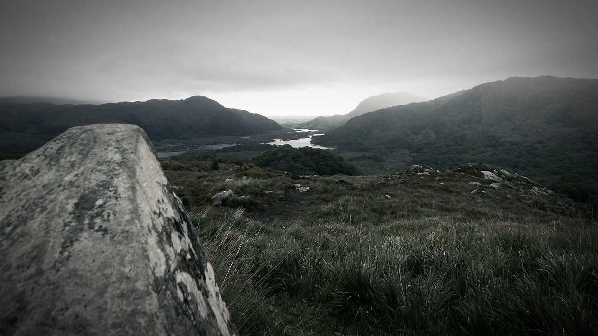 Asesoramiento jurídico