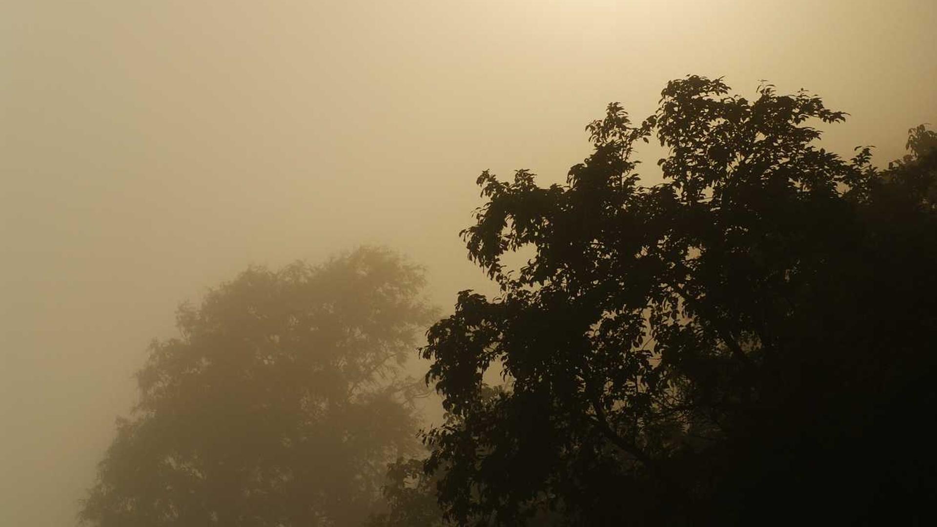 Asesoramiento personalizado