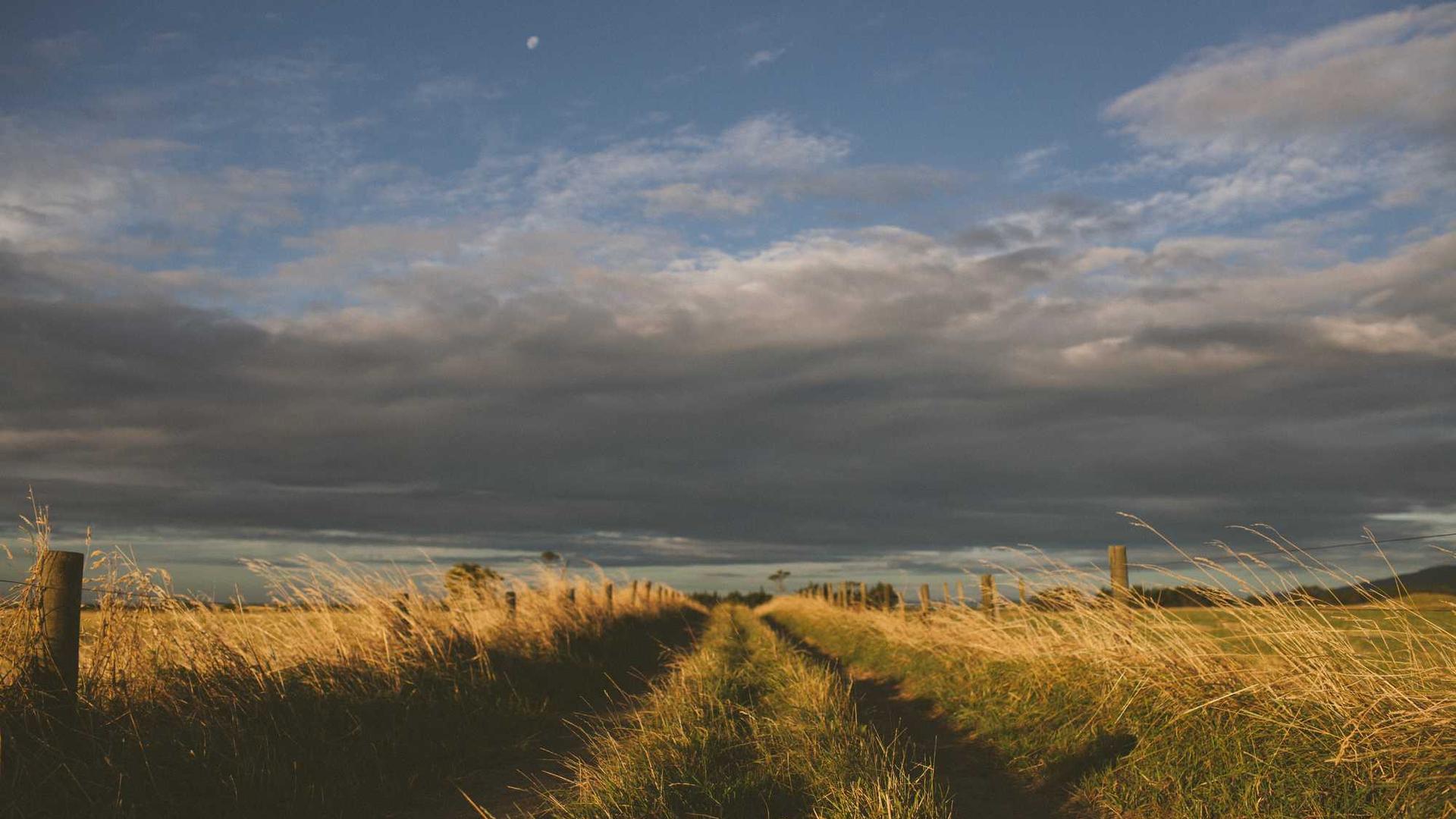 Las Rozas y Majadahonda